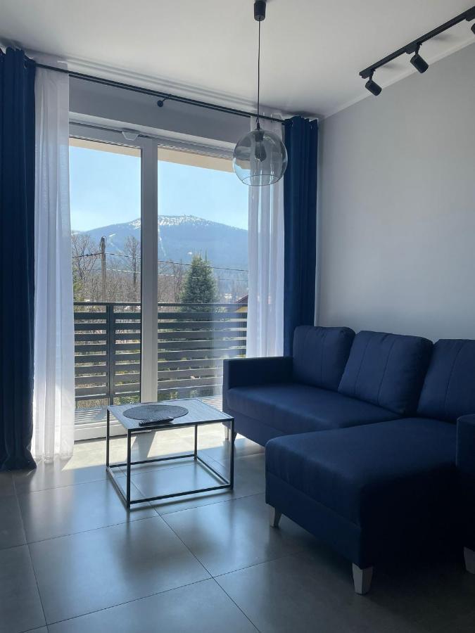 Z Widokiem Apartamenty - Apartamenty Z Widokiem Na Gory I Zewnetrzna Balia Szklarska Poręba Εξωτερικό φωτογραφία